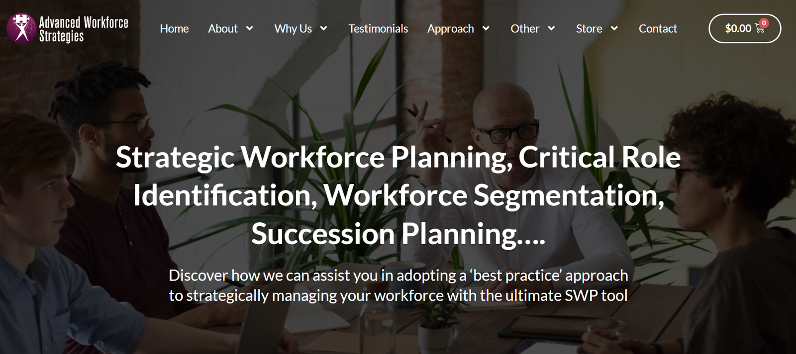 Advanced Workforce Strategies
